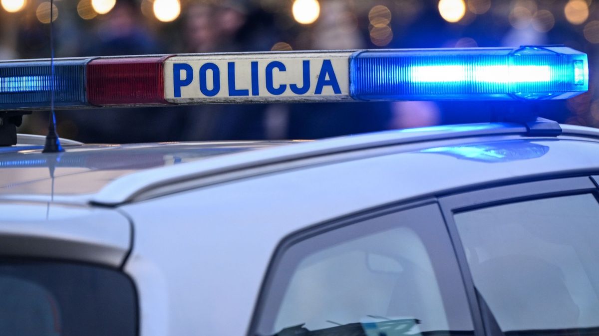 V Polsku našli ubodanou 11letou dívku. Podezřelá je její o rok starší spolužačka